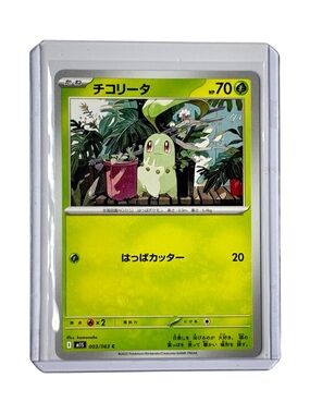 Pokémon TCG – Chikorita 003/063 – Common – Non Holo